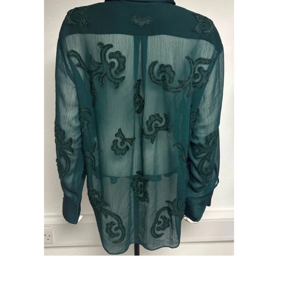 Elegant Sheer Green Blouse - Picture 2 of 10